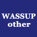 WASSUP OTHER希汇服饰专卖店