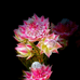 生活甄选阁花铺
