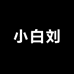 小白刘男装