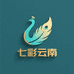 七彩云南好物精选