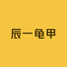 辰一龟甲