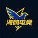 Haiou电竞