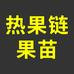 热果链果树苗木