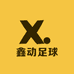 鑫动足球