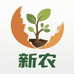新农果苗