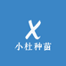 小杜种苗