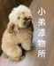 小弟漆物所