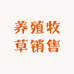 养殖牧草销售