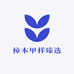 樟木甲样臻选