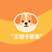 王橘子萌宠
