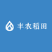 丰农稻田土麻鸭