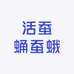 活蚕蛹蚕蛾