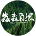 虫森自然