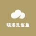 晓溪孔雀鱼
