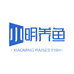 小明养鱼