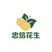 甄选忠信花生