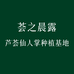 荟之晨露芦荟仙人掌种植基地
