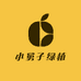 小舅子绿植