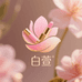 白萱美妆严选
