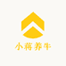 小蒋养牛
