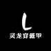 灵龙穿戴甲