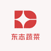 东志蔬菜