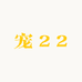 宠22