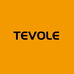 TEVOLE户外露营灯