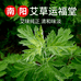 飛哥严选6