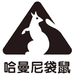 哈曼尼袋鼠