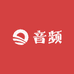 专业音频供应商