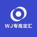 WJ专高定汇
