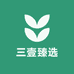 三壹臻选