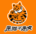 是猫不是虎宠物