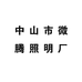 中山市微腾照明厂