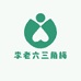 李老六三角梅