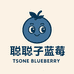 聪聪子的丹东蓝莓