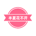 半夏花不开
