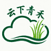 云下青禾