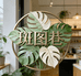 斑图巷香田缘绿植专卖店