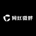 方脸包网红微胖女装