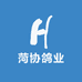 菏协鸽业