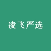 凌飞严选