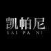 凯帕尼乐器旗舰店
