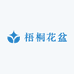 梧桐花盆