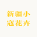新疆小寇花卉