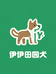 伊伊田园犬
