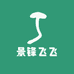 景锋飞飞