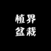 植界盆栽