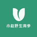 小赵野生海参
